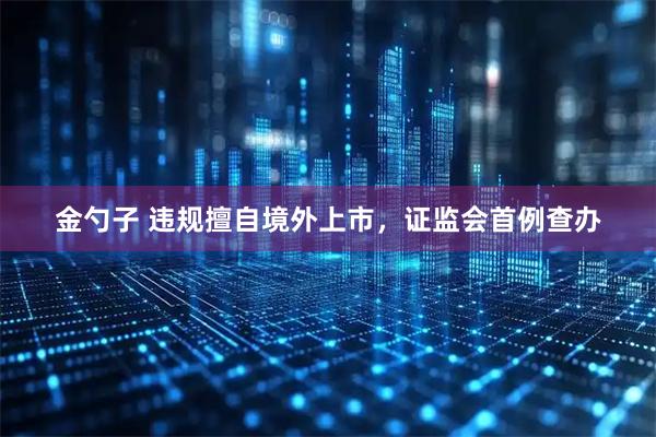 金勺子 违规擅自境外上市，证监会首例查办